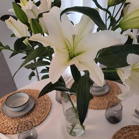 View Lovely 3bed-2bath Full Furnished. Appartement