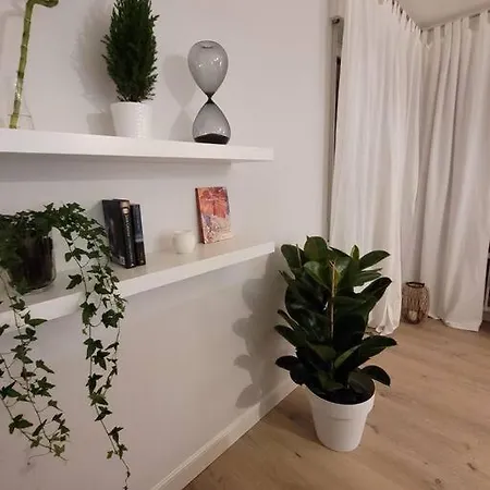 View Lovely 3bed-2bath Full Furnished. Vittorio Veneto
